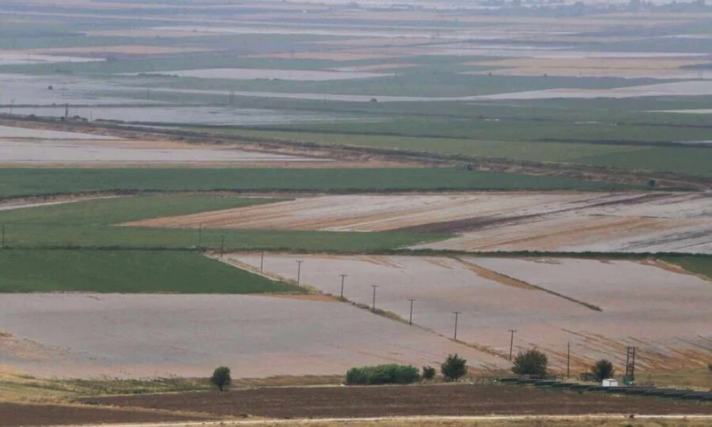 Θεσσαλία: Τηλεφωνική γραμμή ενημέρωσης για τους πληγέντες αγρότες και κτηνοτρόφους από την κακοκαιρία